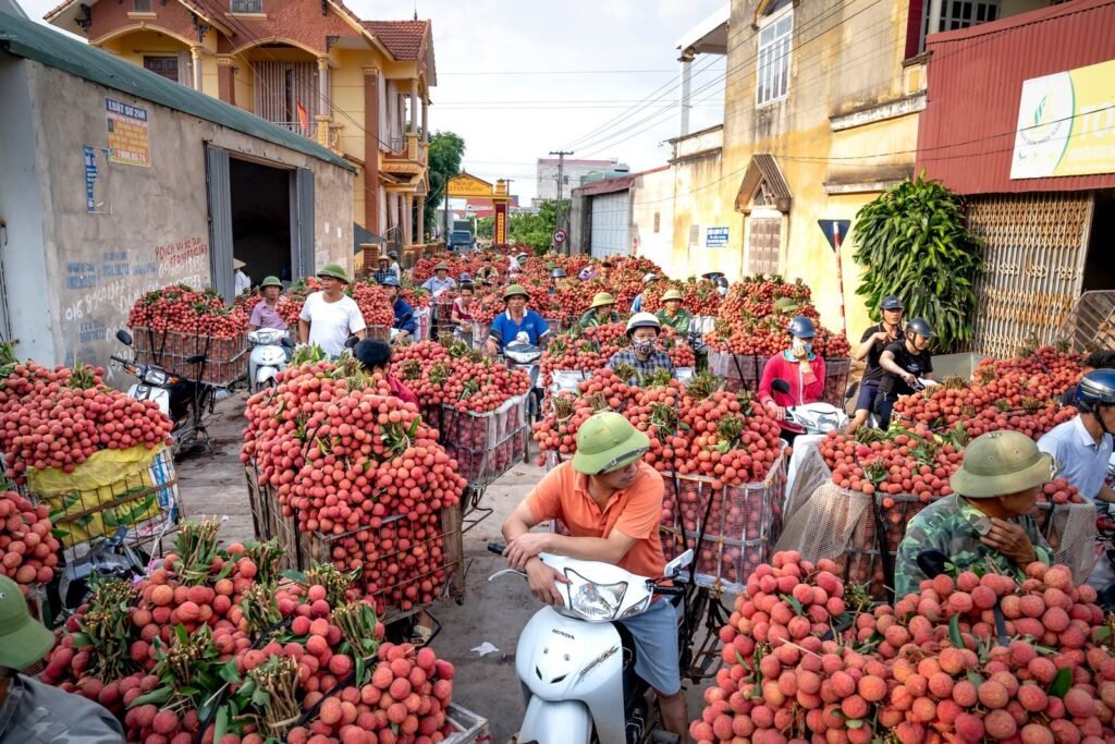 A bustling street market in Vietnam with vendors on scooters selling fresh lychees.